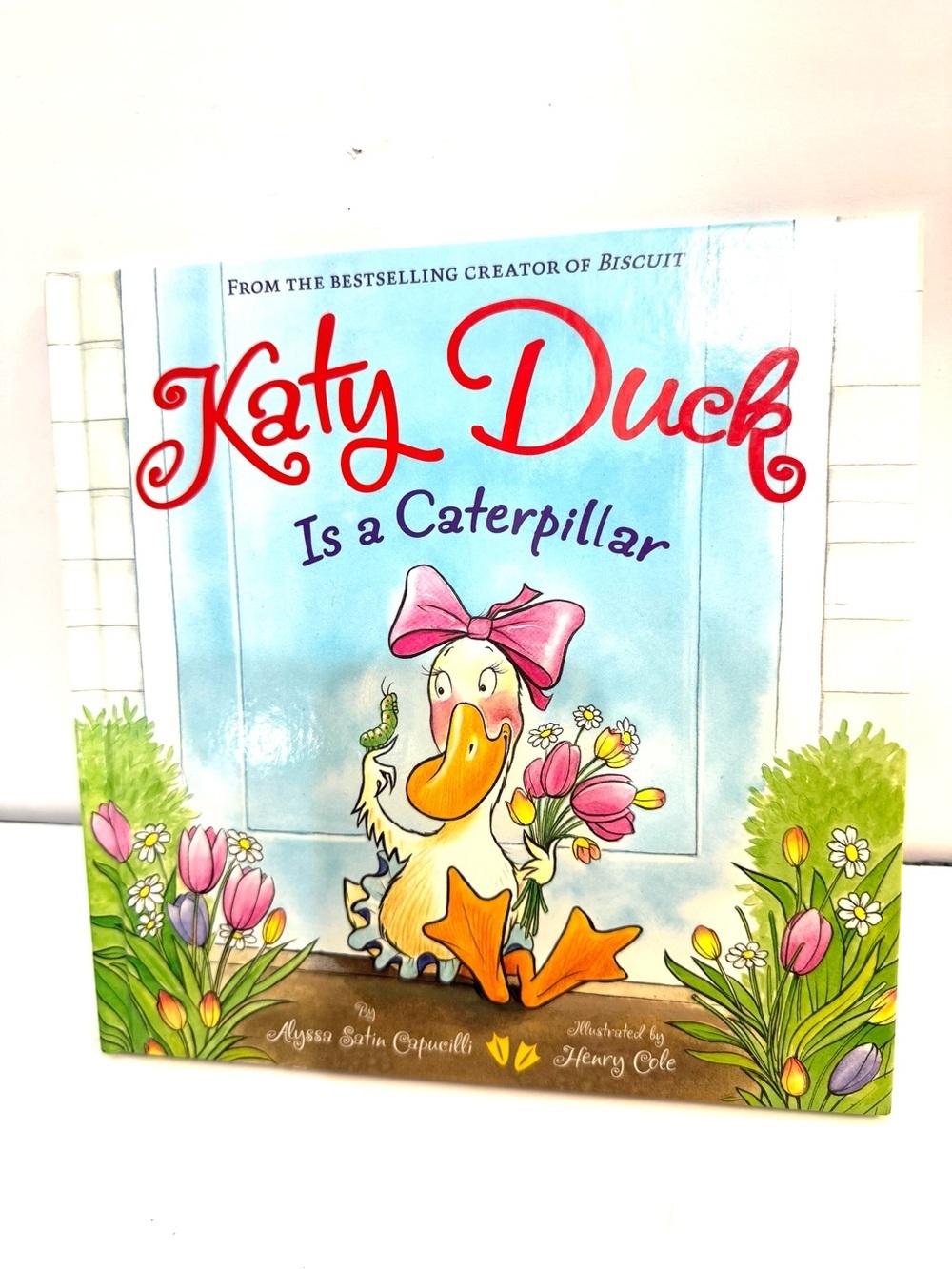 Katy Duck Is a Caterpillar Children’s Book Kid Story Hardcover